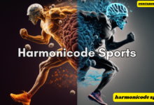 harmonicode sports